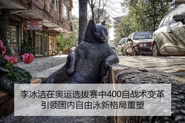 li-bing-jie-zai-ao-yun-xuan-ba-sai-zhong-zi-zhan-shu-bian-ge-yin-ling-guo-nei-zi-you-yong-xin-ge-ju-zhong-su-2-288.jpg